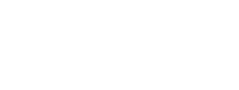 Magwell Logo Light